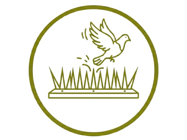 allontanamento uccelli