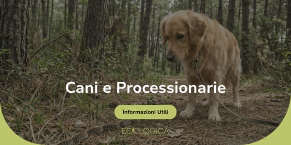 cani e processionarie