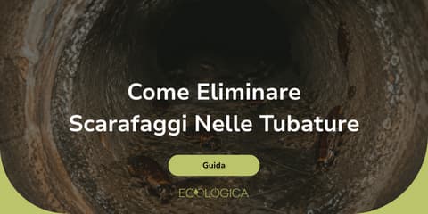 come evitare che gli scarafaggi escano dalle tubature