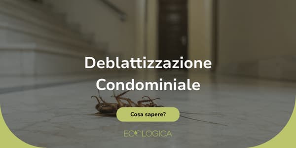 deblattizzazione in condominio