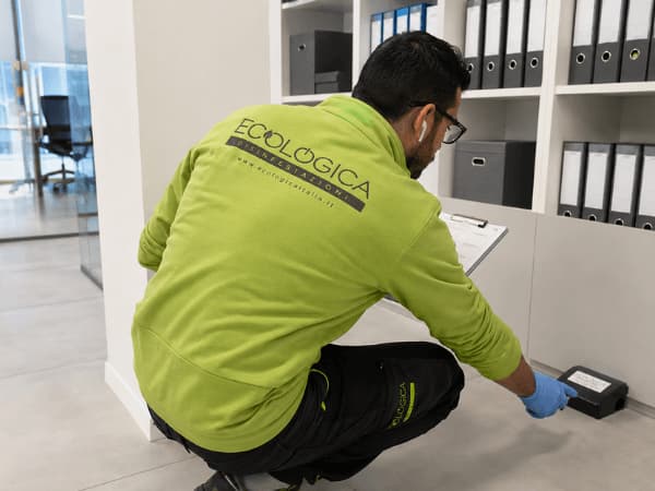 Derattizzazione per uffici archivi e locali tecnici