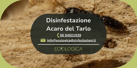 disinfestazione acaro del tarlo