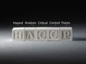 Blocchi con la scritta HACCP e spiegazione del significato: Hazard Analysis Critical Control Points.