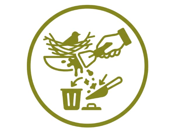 disinfestazione parassiti dei piccioni
