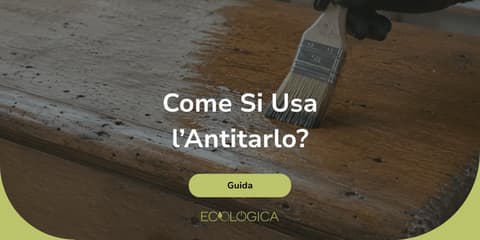 guida su come si usa l'antitarlo