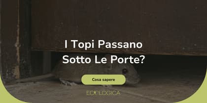 i topi riescono a passare sotto le porte