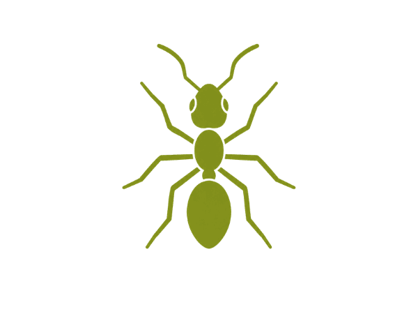 infestazioni in azienda