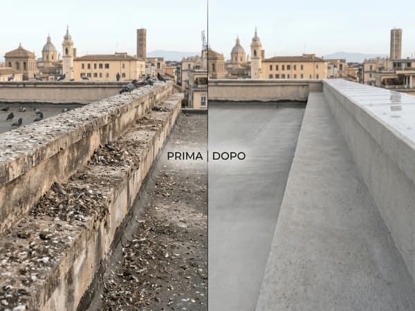 prima e dopo disinfestazione parassiti piccioni