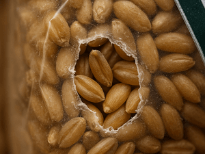 Piccoli fori sulle confezioni causati dai punteruoli
