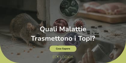 quali sono le malattie che i topi possono trasmettere