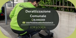 servizio derattizzazione comunale