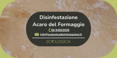 servizio disinfestazione acari del formaggio