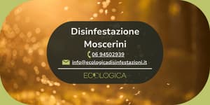 servizio disinfestazione di moscerini