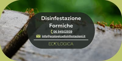 servizio disinfestazione formiche