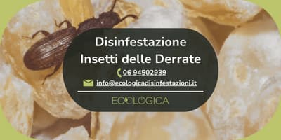 servizio disinfestazione insetti delle derrate alimentari