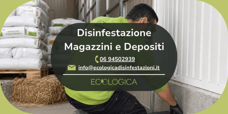 servizio disinfestazione magazzini e depositi