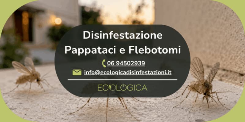 servizio disinfestazione pappataci e flebotomi
