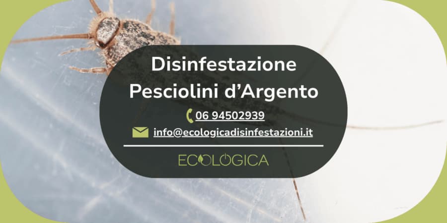 servizio disinfestazione pesciolini d argento