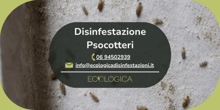 servizio disinfestazione psocotteri
