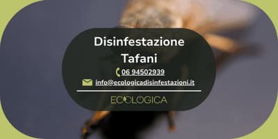servizio disinfestazione tafani