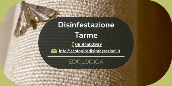 servizio disinfestazione tarme
