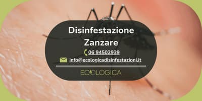 servizio disinfestazione zanzare