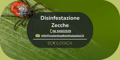 servizio disinfestazione zecche
